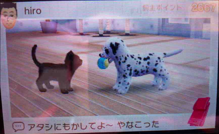 Nintendogs Cats